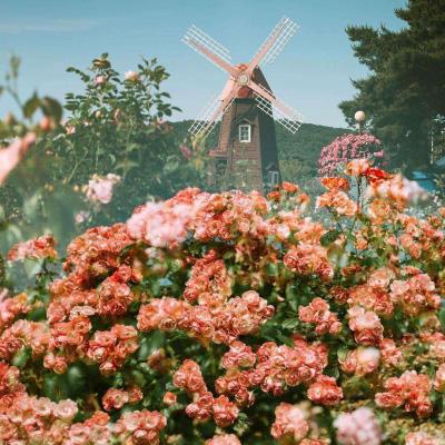 国防基地战中文版